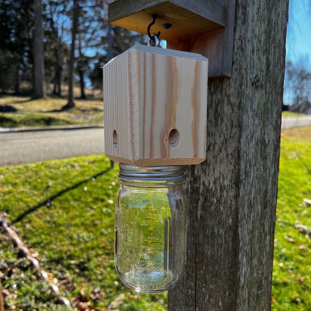 Carpenter Bee Trap